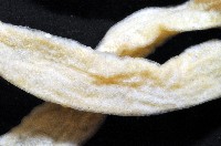 未知種紐蟲藏品圖，第5張
