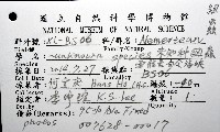 未知種紐蟲藏品圖，第8張