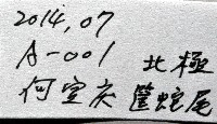 北極筐蛇尾藏品圖，第11張