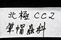 未知種筆帽蟲藏品圖，第15張