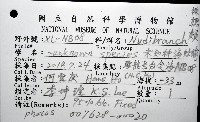 未知種海蛞蝓藏品圖，第8張