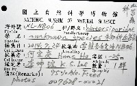 未知種血苔蟲藏品圖，第16張