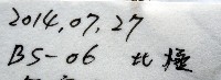 未知種海鞘藏品圖，第11張