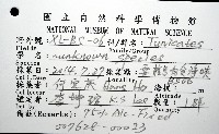 未知種海鞘藏品圖，第12張