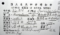 未知種葫蘆海膽藏品圖，第12張