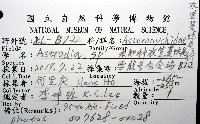 未知種衣笠蔓蛇尾藏品圖，第12張