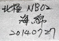 未知種海綿藏品圖，第7張