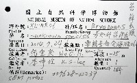 未知種苔蘚蟲藏品圖，第16張