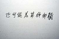 未知種多毛類藏品圖，第7張