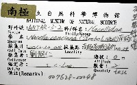 南極笠螺藏品圖，第12張