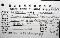 南極骨螺藏品圖，第8張