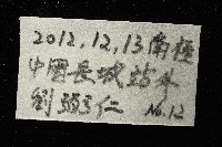 南極海盤車藏品圖，第15張