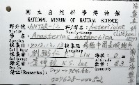 南極海盤車藏品圖，第16張