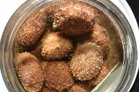 魯氏硬海膽藏品圖，第15張