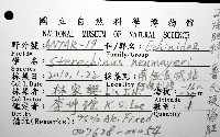 魯氏硬海膽藏品圖，第12張