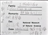 梅峰石蜈蚣藏品圖，第12張