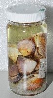 環文蛤藏品圖，第11張