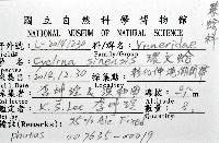 環文蛤藏品圖，第12張