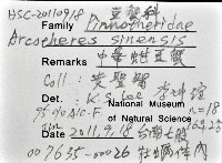 中華蚶豆蟹藏品圖，第12張