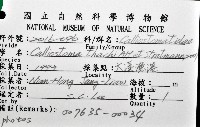 麗口螺之一種藏品圖，第12張