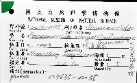 大光芒海扇蛤藏品圖，第8張