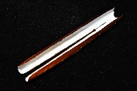 大刀蟶藏品圖，第7張