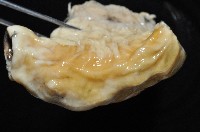 豹紋海葵(暫譯)藏品圖，第9張