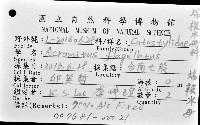 端鞭水母藏品圖，第8張