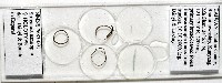 新種昆陽地蜈蚣藏品圖，第1張