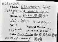 新種昆陽地蜈蚣藏品圖，第6張
