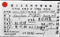 明輝蛹筆螺藏品圖，第11張