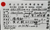 楊氏蛹筆螺藏品圖，第7張