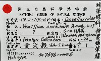 柳絮蛹筆螺藏品圖，第11張