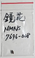 鏡花蛹筆螺藏品圖，第8張