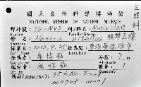 腰帶玉螺藏品圖，第8張
