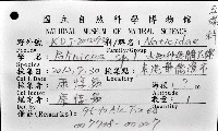 未知種無臍玉螺 1藏品圖，第12張