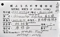 大玉螺藏品圖，第12張