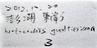 小灰玉螺藏品圖，第14張