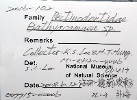 登錄號:007715-00006藏品圖，第8張