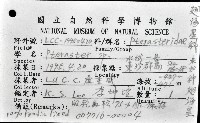 未知種翅海星藏品圖，第12張