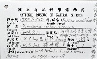 大西洋火體蟲藏品圖，第8張