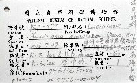 環紋扁滿月蛤藏品圖，第8張