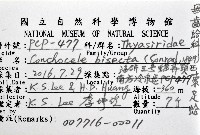 索足蛤藏品圖，第12張
