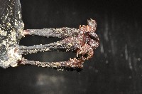 外藤壺藏品圖，第4張