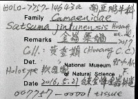 金崙栗蝸藏品圖，第11張