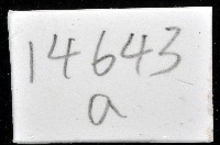 金崙栗蝸藏品圖，第14張