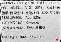 金崙栗蝸藏品圖，第15張