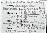 金崙栗蝸藏品圖，第12張