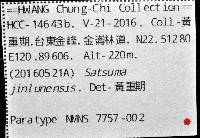 金崙栗蝸藏品圖，第15張