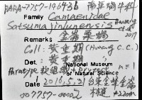 金崙栗蝸藏品圖，第16張